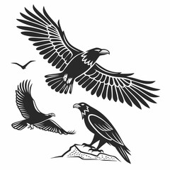Black silhouette eagles and bird in flight flying