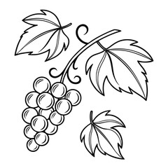 Black line art grape cluster and leaves grapes bunch