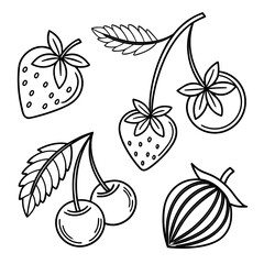 Black outline fruit and berry collection strawberry
