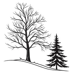 Black outline of bare tree and pine tree on white winter