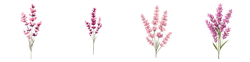 Naklejka premium Watercolor Lavender Bouquets: Aromatic Floral Illustration