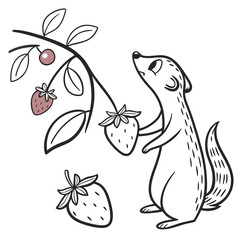 Cute ferret reaching for strawberry on branch animal