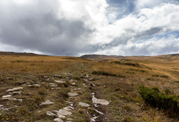 Autumn walks in the autumn park in the morning hours in the alpine area of the mountain range