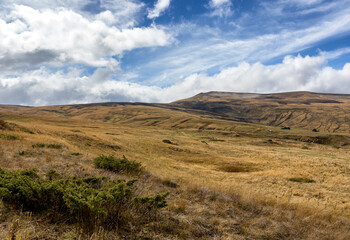 Autumn walks in the autumn park in the morning hours in the alpine area of the mountain range