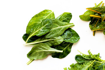Baby Green Swiss Chard leaves
