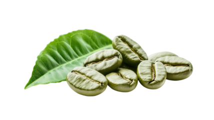 Green coffee beans raw and unroasted with natural pale green color ideal for food visuals ingredient references and agricultural illustrations isolated on white background