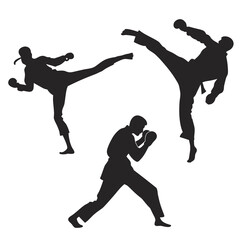 Martial arts fighters silhouettes in action poses kick