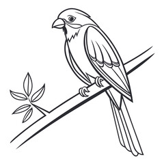 Minimalist black and white line art bird on branch