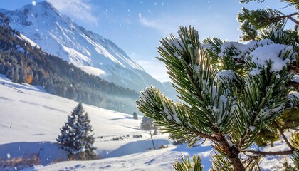 Snowy mountain scene with frosted evergreen branches