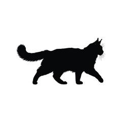 Majestic maine coon cat silhouette vector isolated