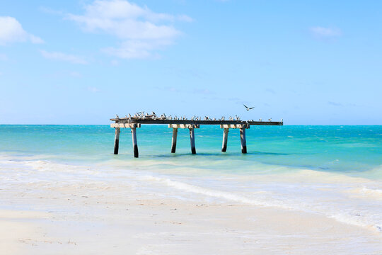 Ruins of the Eucla Jetty. Nullarbor Plain. Western Australia.