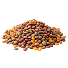 Pile of colorful lentils (3)