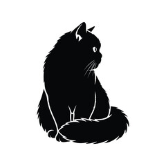 Elegant black cat silhouette vector illustration design