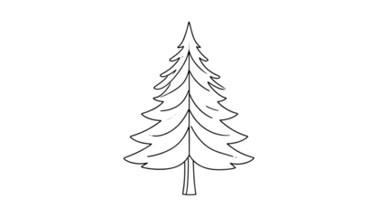 Evergreen Tree Silhouette Cutout PNG