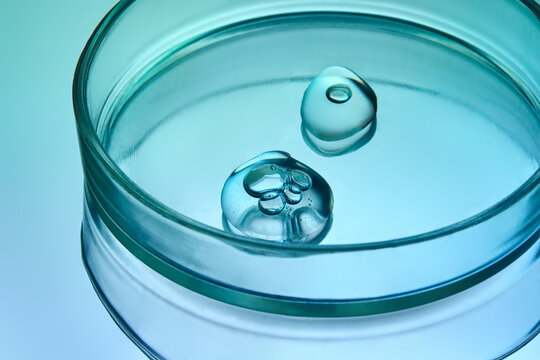 Droplets of Face Serum In Petri Dish on Blue Backdrop with Copy Space