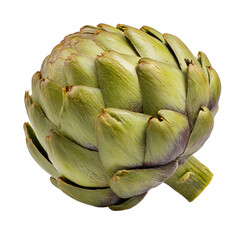Obraz premium Close-up of a fresh artichoke head (5)