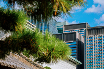 A Japanese Cityscape from Traditional Tile Roofs to Skyscrapers.
