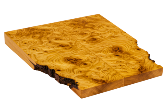 Yellow burl wood texture panel with natural live edge pattern on isolated background