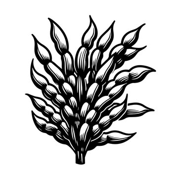 Illustration of a stylized wheat stalk with detailed line work and a bold black and white color palette