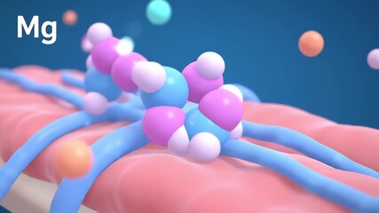 3D medical animation of Magnesium Mg molecules interacting with cellular structures