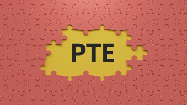 Three puzzle pieces with missing pieces with the letters PTE.close up of puzzle pieces with missing pieces,Business Concept.3D rendering.