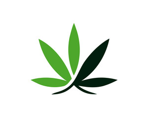 cannabis leaf logo. marijuana health medical logo design template vector illustration