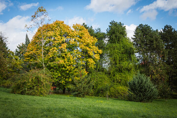 Naklejka premium Promenade au Jardin Botanique de Genève