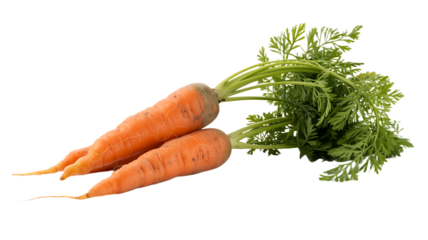 Two Fresh Carrots with Green Tops Isolated,Isolated Organic Carrots with Leafy Green Stems,Organic Farm Carrots in a Pair Isolated,Raw Carrots with Natural Green Leaves,Fresh Root Vegetable Carrots,Ai