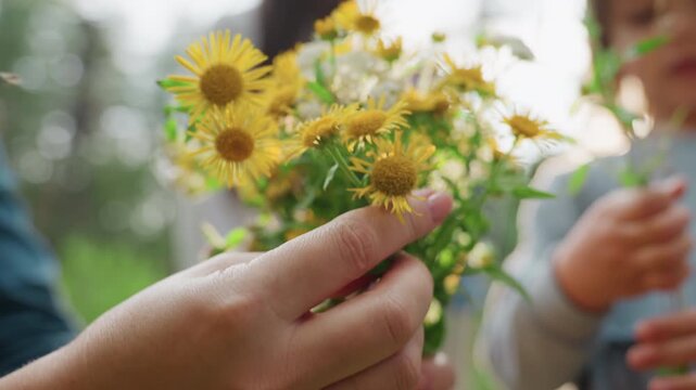 Gentle close up mother's hands collecting small yellow wildflowers from children in glowing sunlight, creating tender moment of love, warmth, and family connection surrounded by soft summer nature