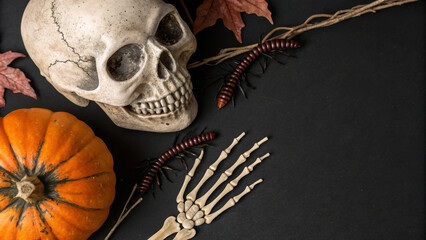 halloween night concept top view of Decorative Halloween setup featuring a skull, skeleton hand, pumpkin, and creepy insects on a dark surface