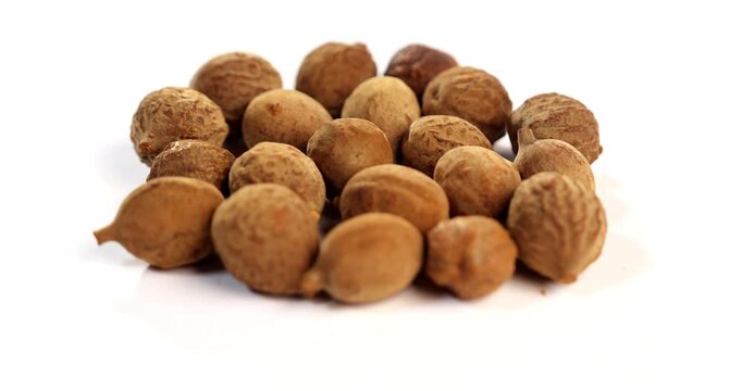 Dried Bibhitaki Ayurvedic Fruit on Rustic Background &ndash; Traditional Indian Herbal Medicine Ingredient for Health and Healing