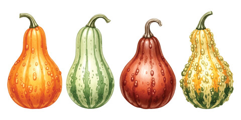 Colorful decorative gourds, hand-drawn watercolor illustration on white