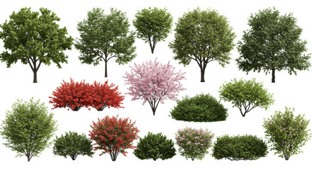 Hyperdetailed 3d architectural visualization rendering of diverse botanical assets (oak, pine, birch trees, flowering shrubs, ground cover) in a grid array, isolated on a transparent background.