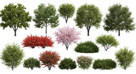 Hyperdetailed 3d architectural visualization rendering of diverse botanical assets (oak, pine, birch trees, flowering shrubs, ground cover) in a grid array, isolated on a transparent background.