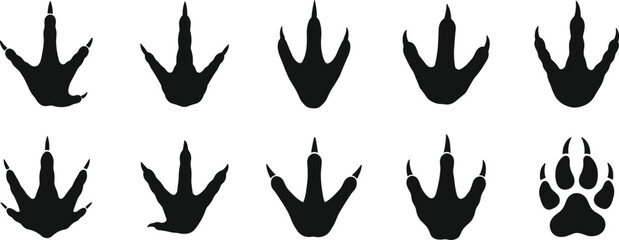 Vector Collection of Black Animal Paw Prints Reptile, Dinosaur, Bird, and Mammal Footprints, Representing Wildlife, Nature, Tracking, and Hunting Design Elements.