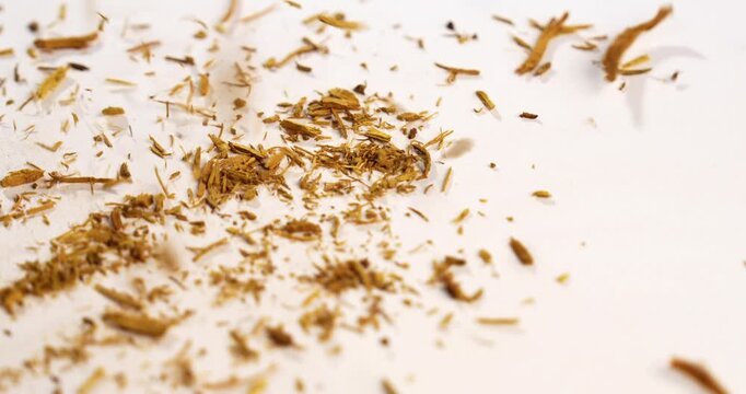 Ayurvedic Daruharidra - Daru haldi or tree turmeric isolated over white background