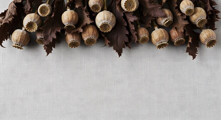 Dried poppy seed heads and oak leaves on a woven white background