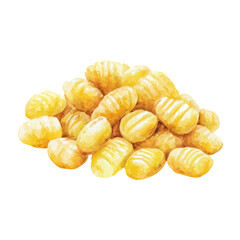 Stylized watercolor Gnocchi vector, modern artistic illustration with high-quality details on a pure white background.