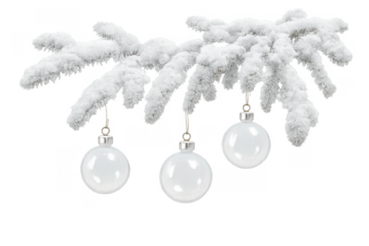 Snow-covered fir branch with clear christmas ornaments hanging, transparent png