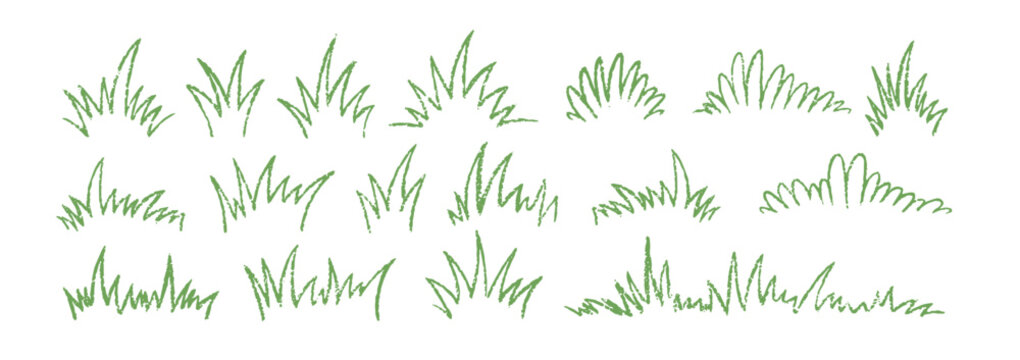 Doodle vector grass with crayon, pastel or chalk texture. Organic vector hand drawn green illustration on a white background.
