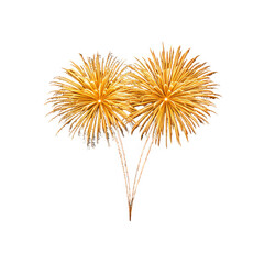 Fototapeta premium Golden Fireworks Bursting Display for Celebrations and Events