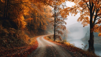 Peaceful winding forest road surrounded by vibrant autumn foliage and misty atmospheric landscape creating warm natural seasonal scenery on white background