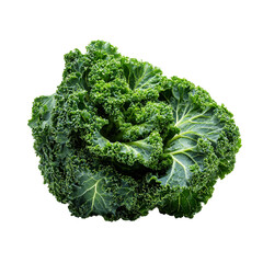 Kale isolated on with white background(3)
