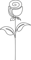 rose flower one line art vector illustration,5