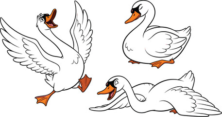 Three cartoon swans in various poses white background bird animal