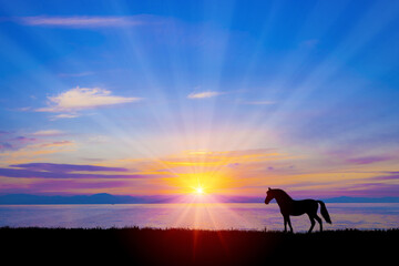 馬のシルエット