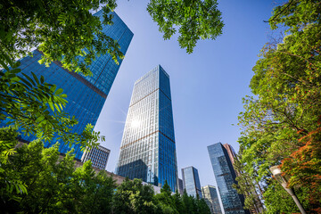 Urban Harmony: Skyscrapers and Nature Coexisting in City Landscapes