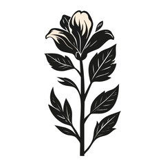 Elegant Black and White Botanical Illustration of a Single Flowering Plant.