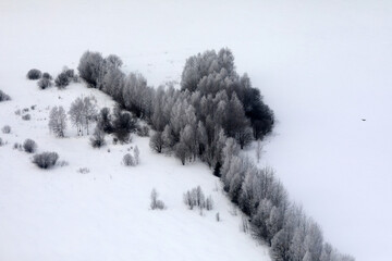 Aerial view of forest line with trees
