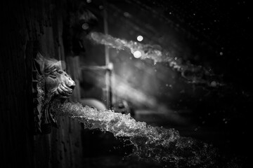 Water flowing from the mouth of a lion shaped fountain 